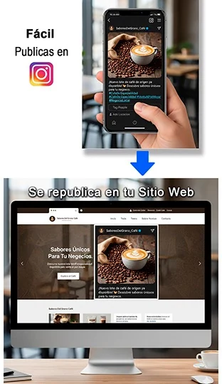 Ejemplo de una publicación de Instagram que aparece en el sitio web del negocio